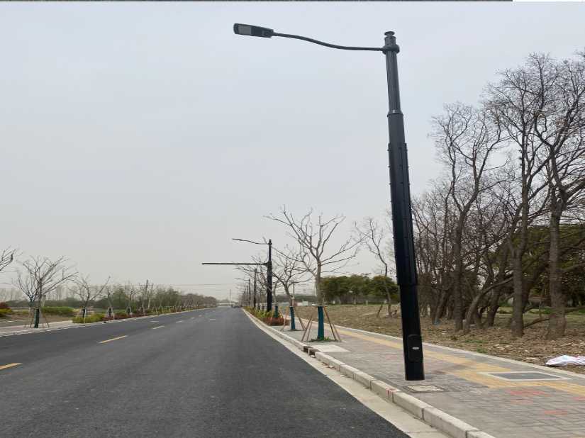 江山市上海综合杆 太阳能路灯工程